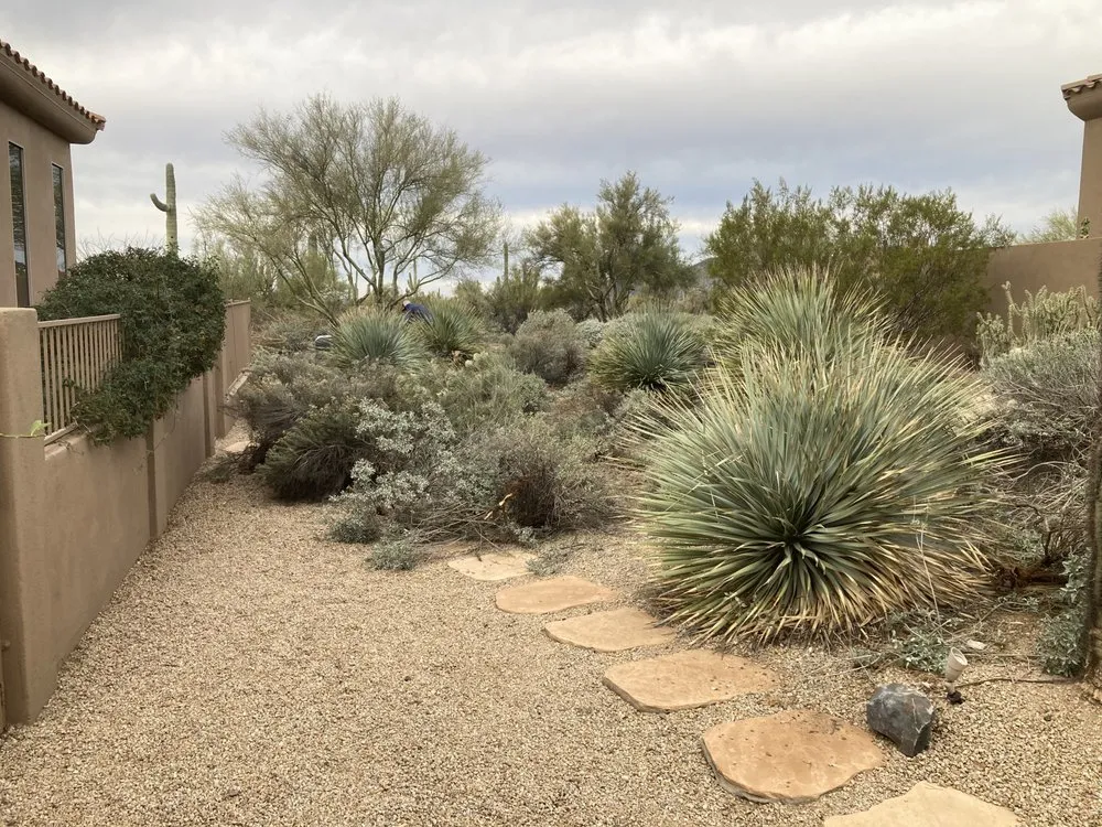 Affordable landscaping services in Phoenix, AZ - Complete Landscape Management