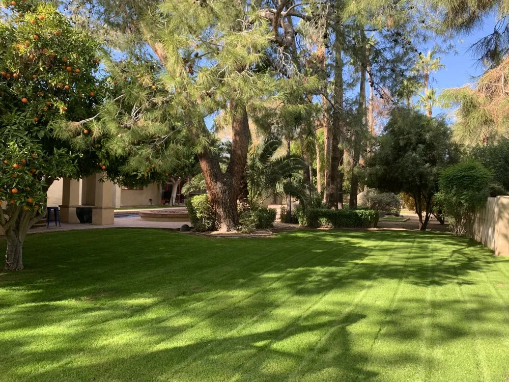 Reliable landscaping services for outdoor upgrades in Phoenix, AZ by Complete Landscape Management