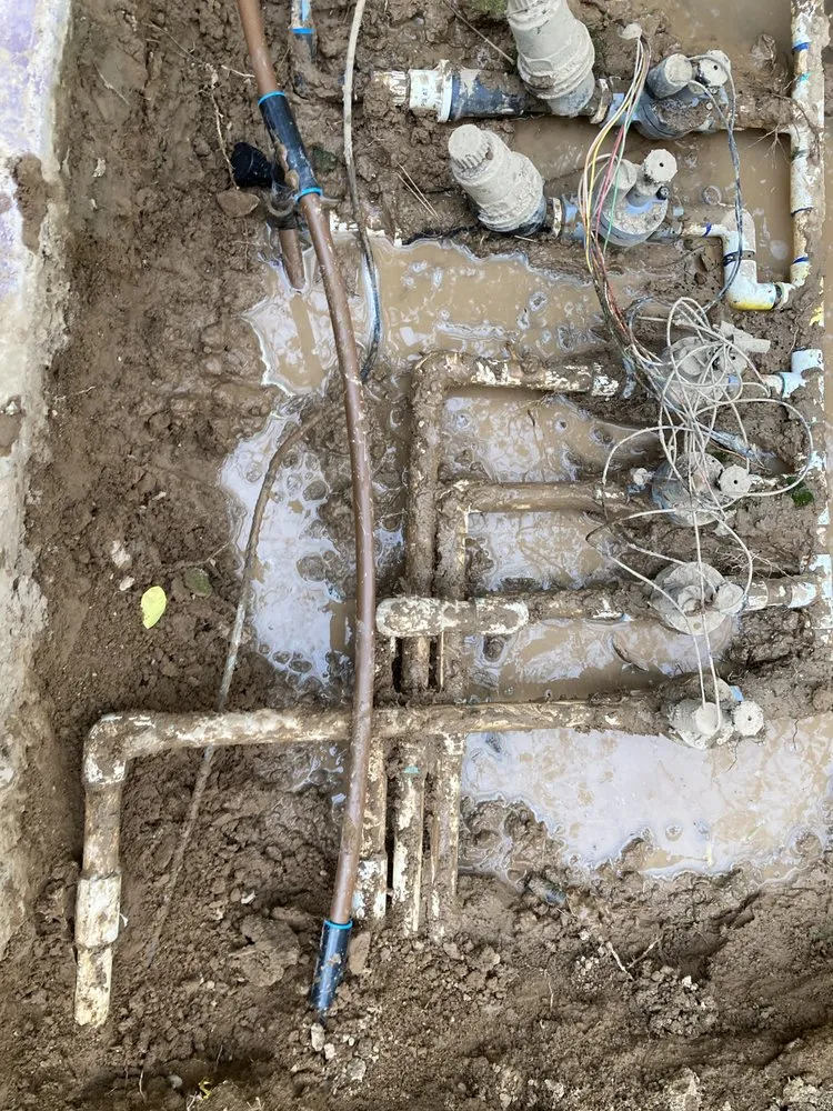 Reliable landscape design in Phoenix, AZ by Complete Landscape Management