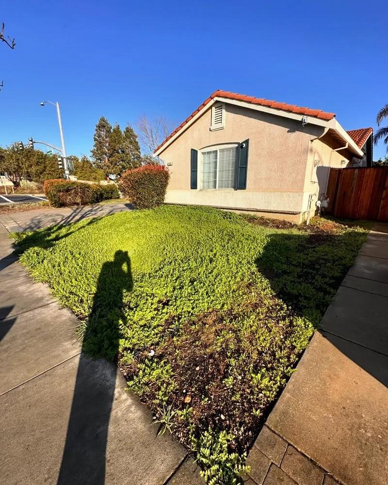 Affordable landscape design in Oakley, CA - Complete Landscape