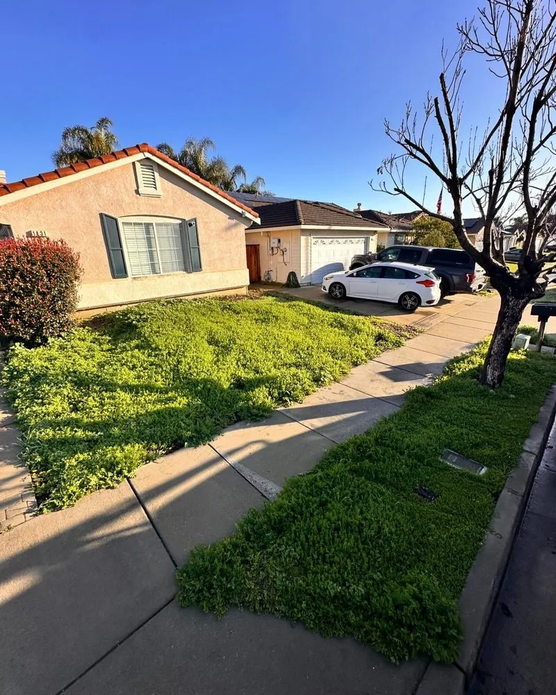 Custom landscaping services for outdoor upgrades across Oakley, CA - Complete Landscape