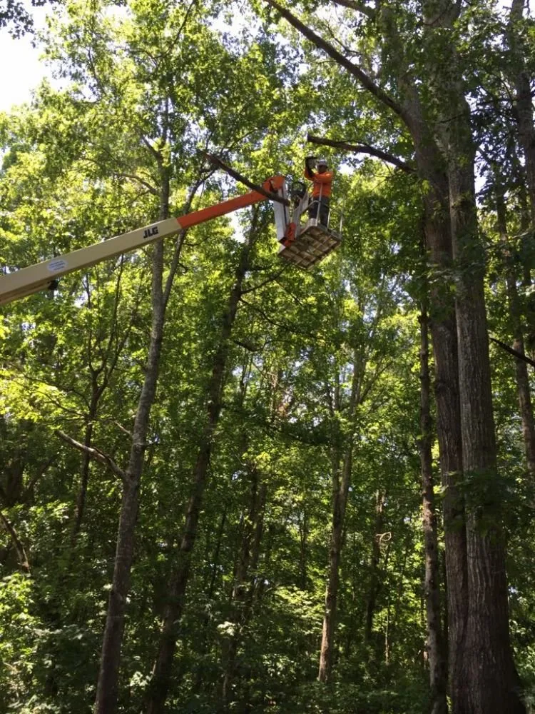 Top-rated landscape installation with custom design across Dallas, GA - Complete Landscape Pros