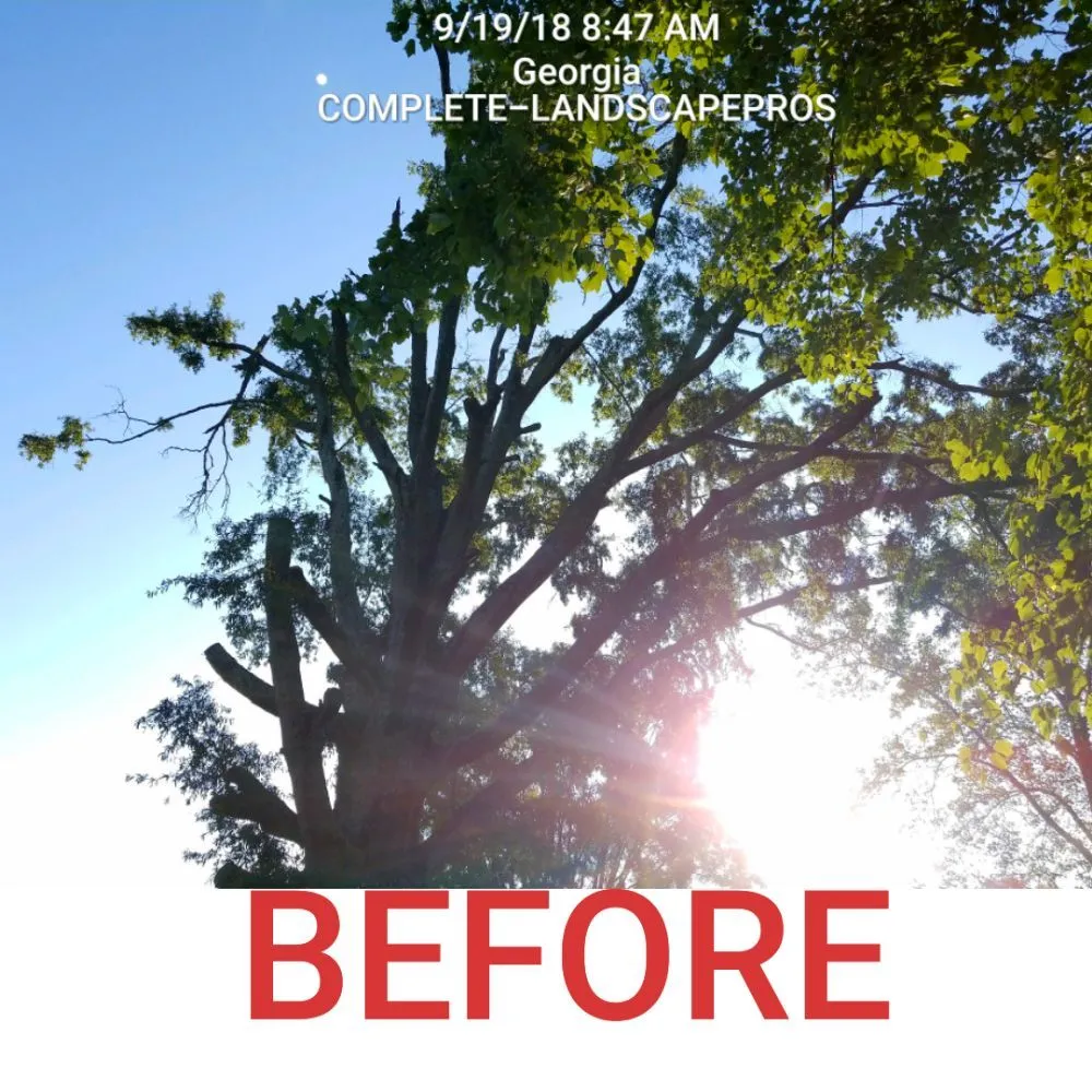 Reliable landscaping services in Dallas, GA by Complete Landscape Pros