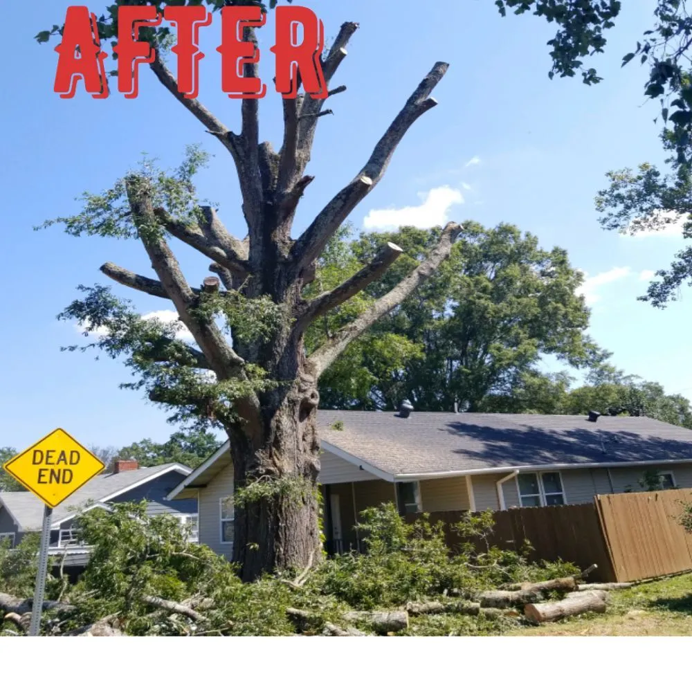 Trusted lawn care service for homes in Dallas, GA by Complete Landscape Pros