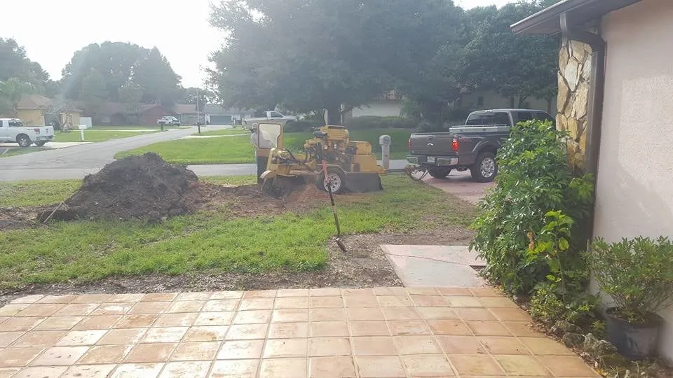 Professional lawn care service with custom design across Land O Lakes, FL - Complete Landscape Solutions