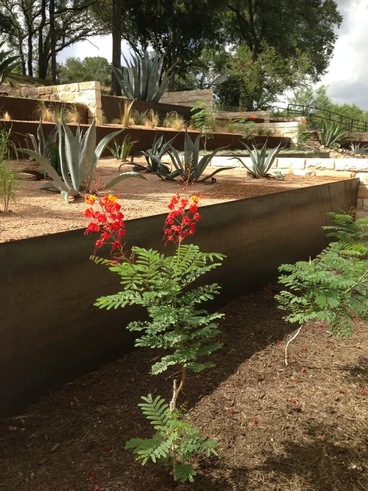 Top-rated residential landscaping near you across Pflugerville, TX - Complete Landscapes