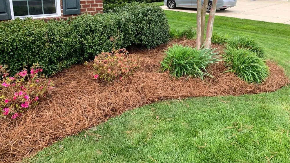 Professional yard cleanup service in Conyers, GA - Complete Landscaping and Design