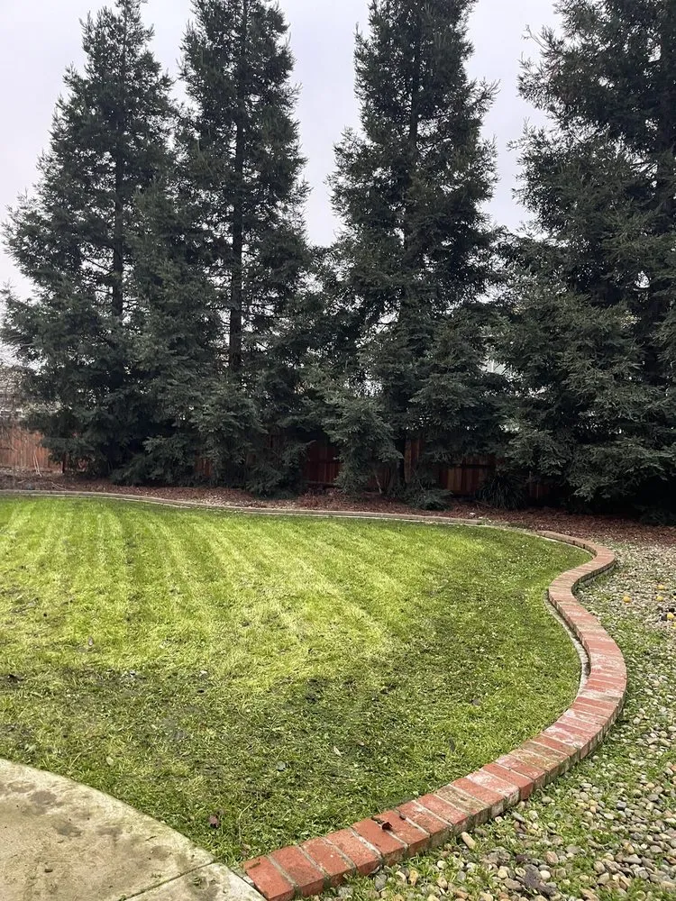 Expert yard maintenance for year-round maintenance in Salida, CA by Complete Landscaping And Gardening