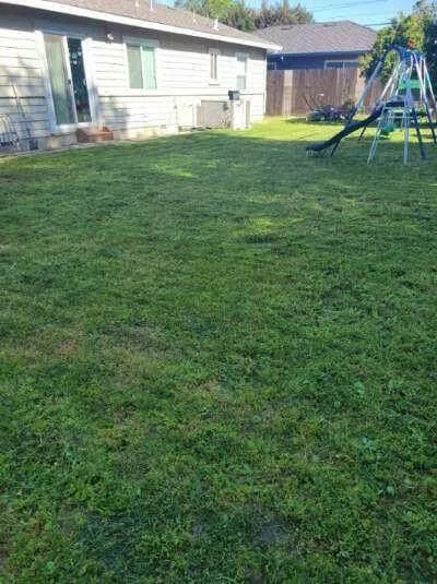 Professional yard maintenance in Salida, CA - Complete Landscaping And Gardening