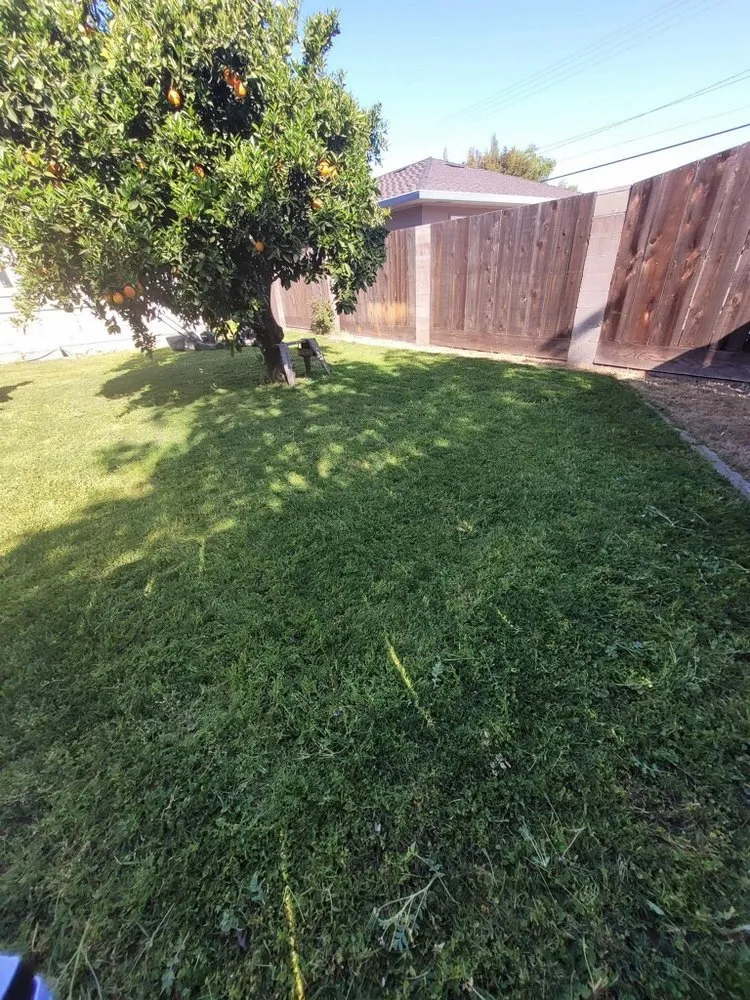 Professional lawn mowing service in Salida, CA - Complete Landscaping And Gardening