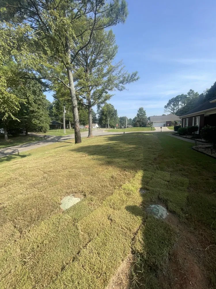 Local lawn mowing service in Madison, AL - Complete Landscaping