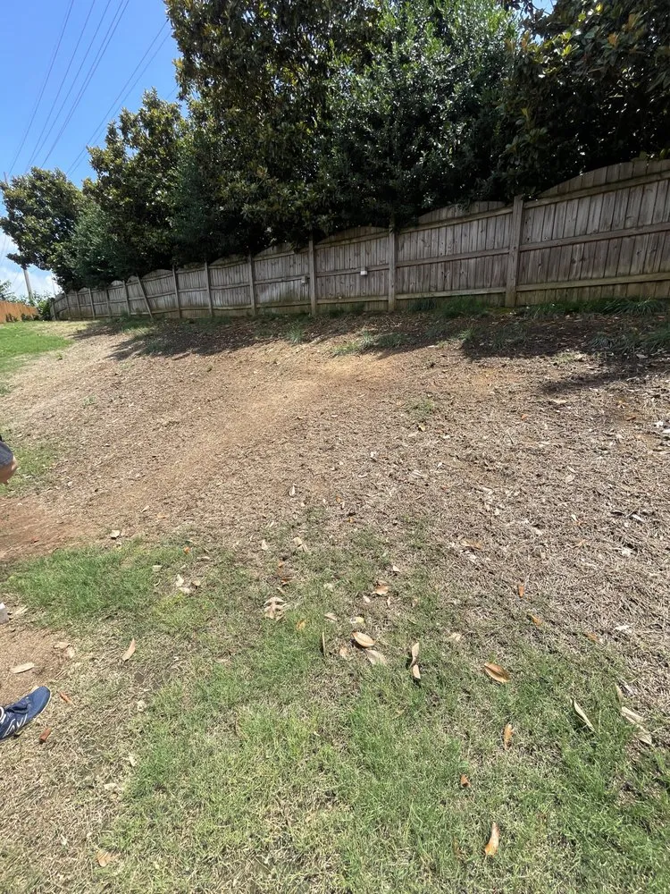 Local landscaping services for year-round maintenance in Madison, AL by Complete Landscaping