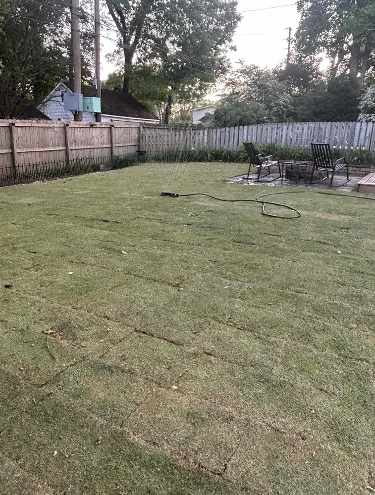 Trusted yard cleanup service in Madison, AL - Complete Landscaping