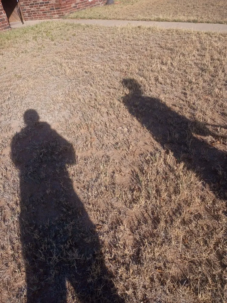 Affordable landscape installation for outdoor upgrades in Midland, TX by Complete Landscaping