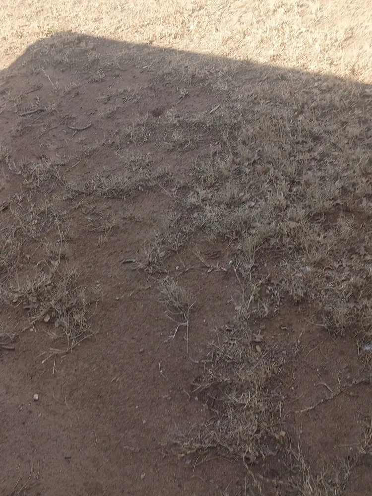 Professional lawn care service for outdoor upgrades in Midland, TX by Complete Landscaping