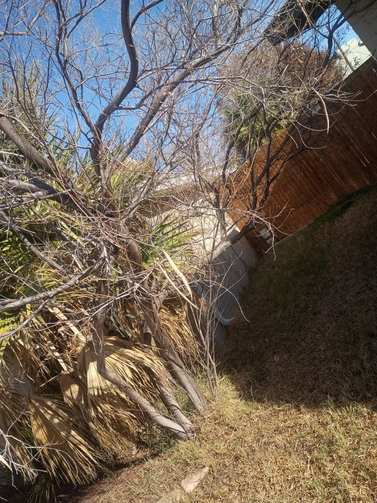 Professional landscaping services experts serving Midland, TX - Complete Landscaping