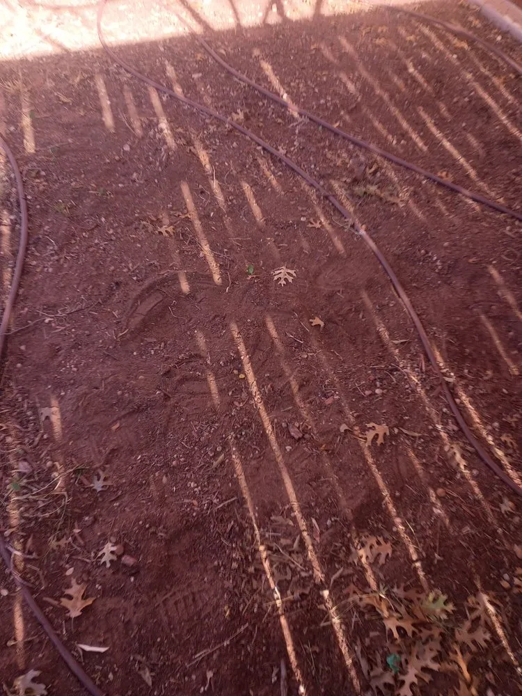 Affordable landscaping services in Midland, TX - Complete Landscaping