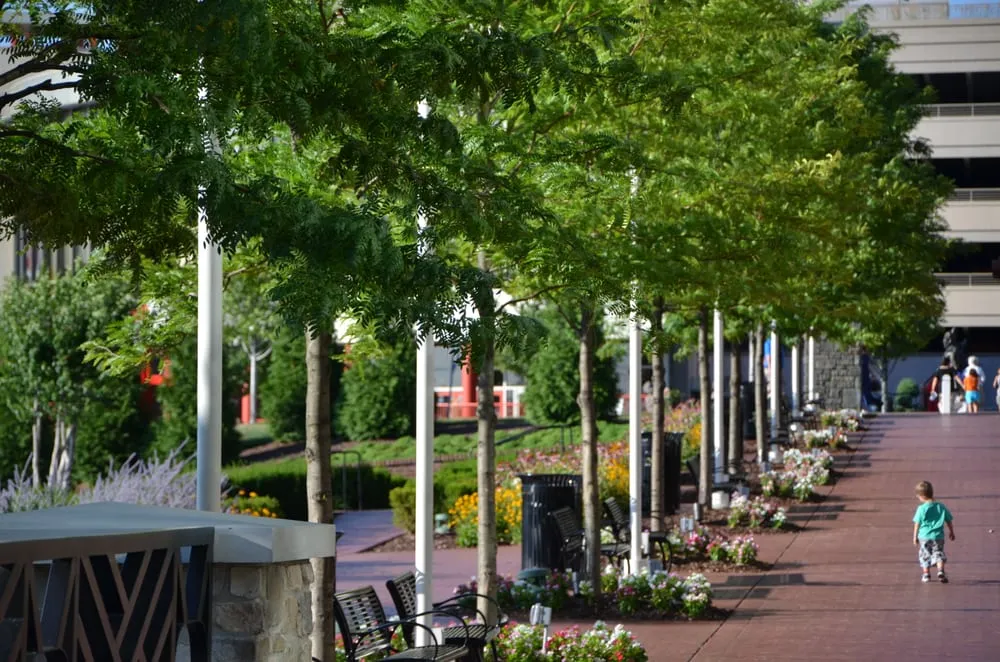 Trusted lawn mowing service in Bowie, MD by Complete Landscaping Service - Maryland