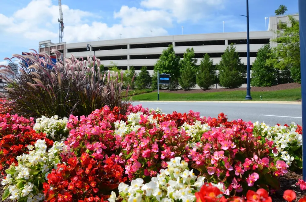 Trusted outdoor landscaping for homes across Bowie, MD - Complete Landscaping Service - Maryland