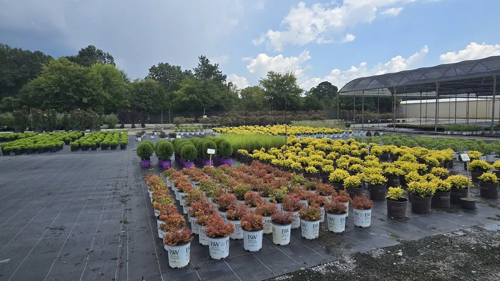 Reliable landscaping services for year-round maintenance across Dadeville, AL - Complete Landscaping Solutions