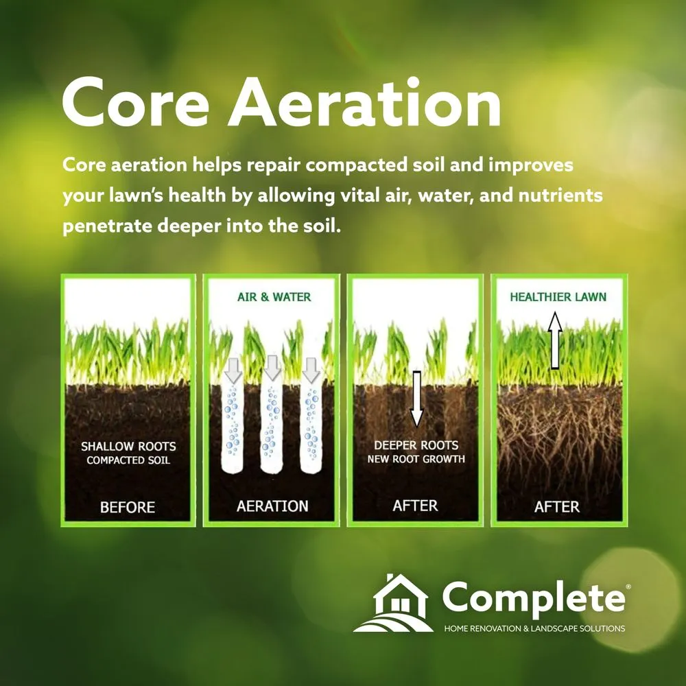 Expert yard cleanup service in Dadeville, AL by Complete Landscaping Solutions