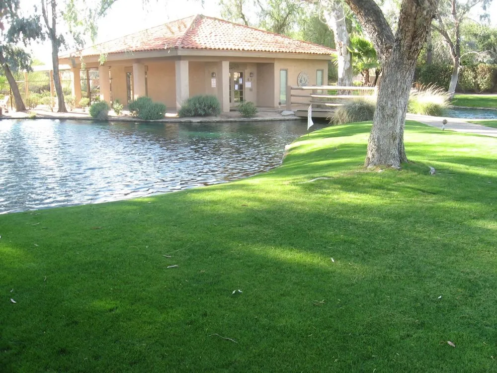 Affordable yard cleanup service in Tucson, AZ - Complete Landscaping
