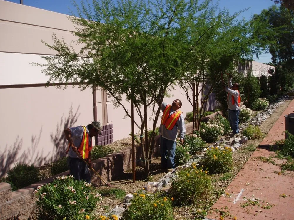 Professional lawn mowing service in Tucson, AZ by Complete Landscaping