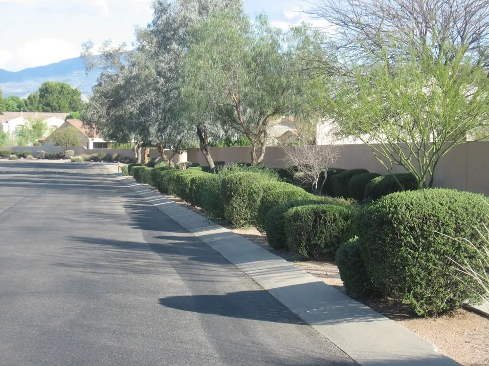 Trusted lawn mowing service in Tucson, AZ - Complete Landscaping