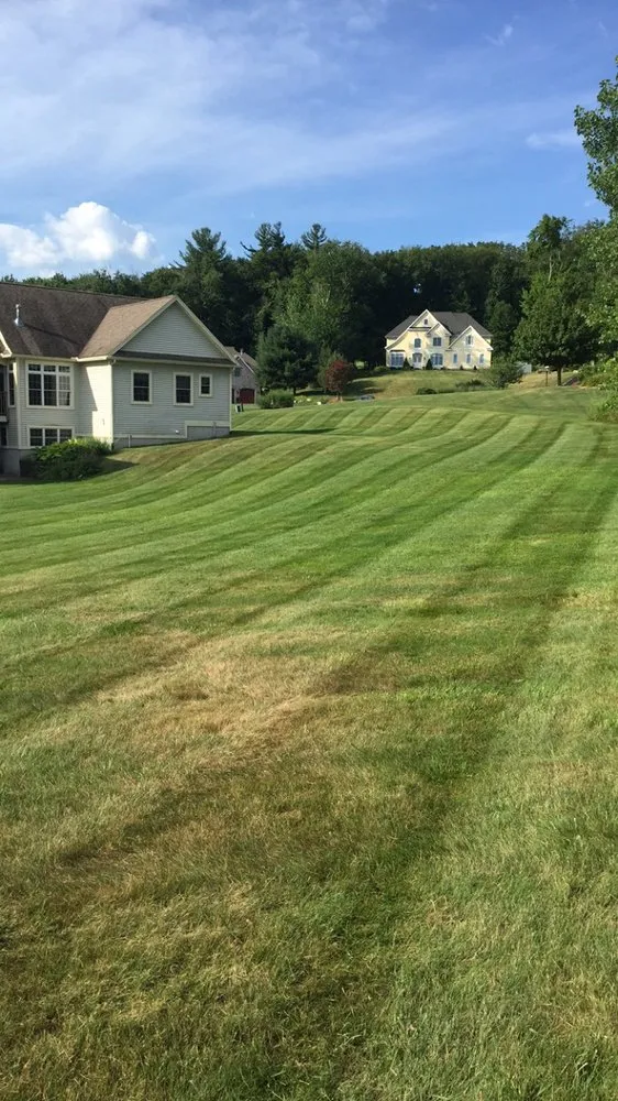 Expert yard cleanup service in Westfield, MA by Complete Landscaping
