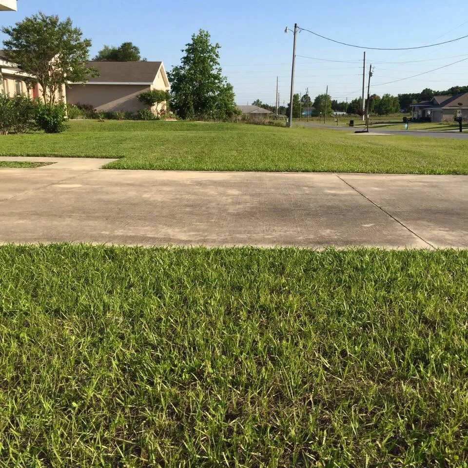 Custom outdoor landscaping in Ocala, FL - Complete Lawn & Land Services