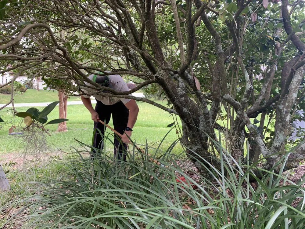 Trusted landscape design for residential properties in Ocala, FL by Complete Lawn & Land Services