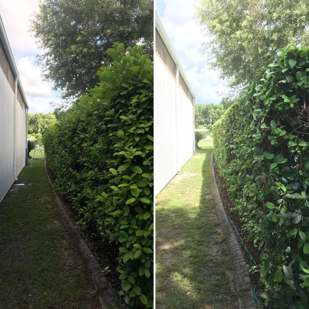 Reliable garden landscaping in Ocala, FL by Complete Lawn & Land Services