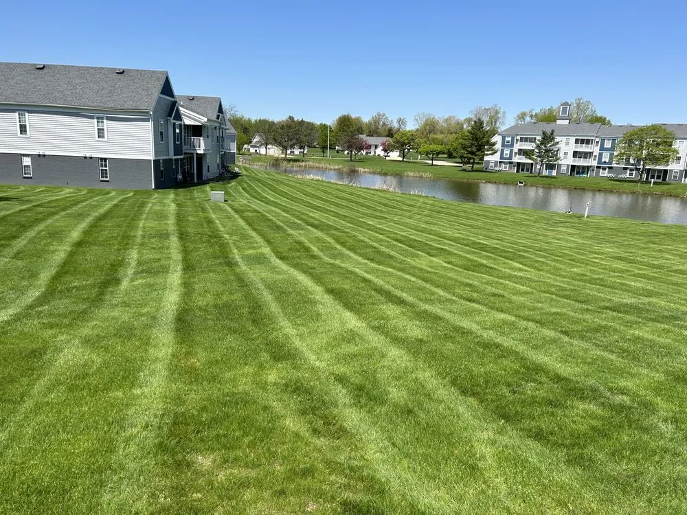 Reliable yard cleanup service in Wyoming, MI by Complete lawn & Snow