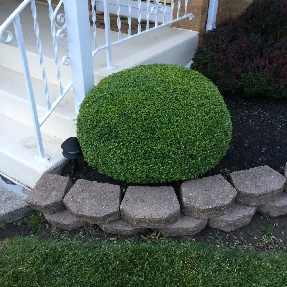 Reliable yard cleanup service for homes across Cheektowaga, NY - Complete Lawn & Yard Care