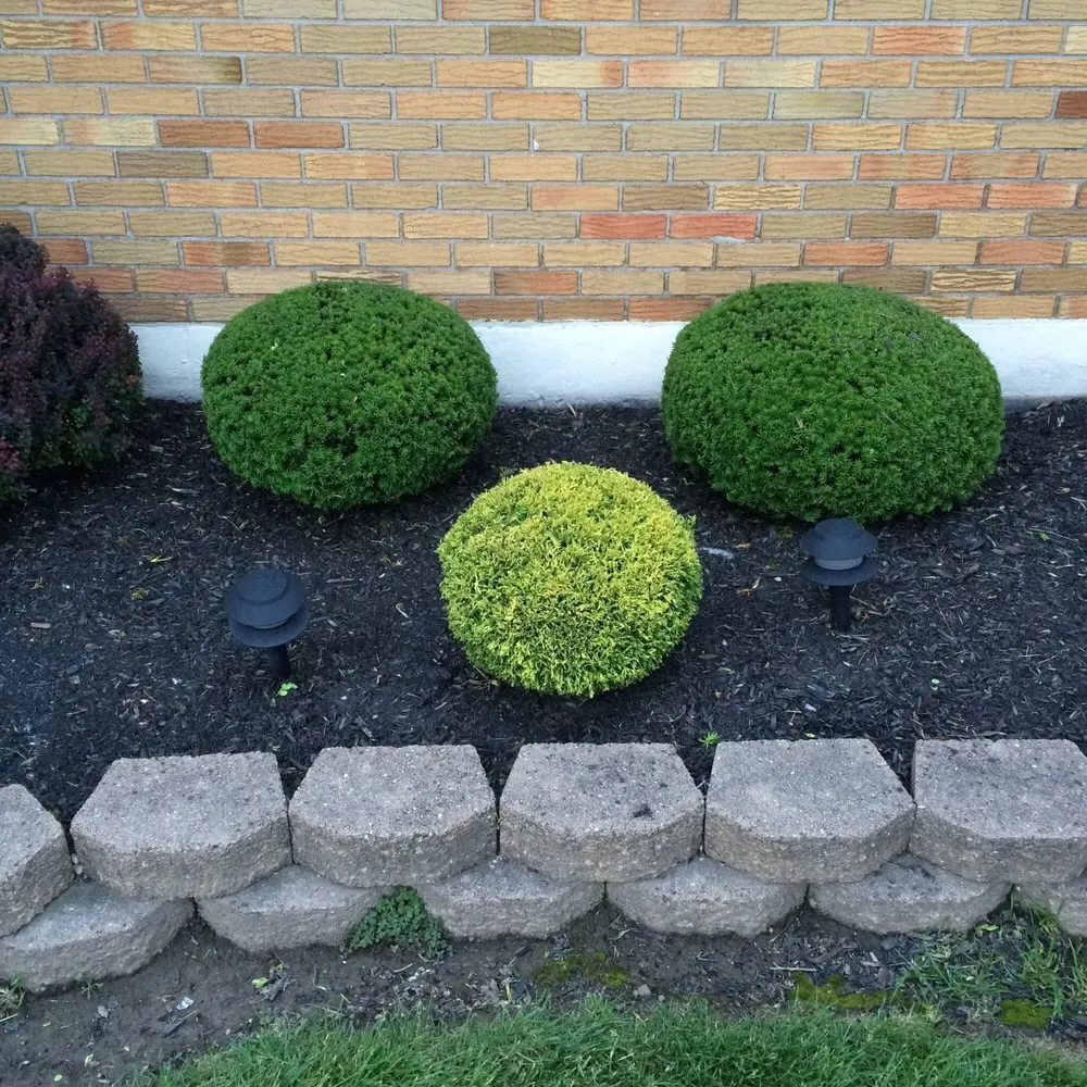 Custom residential landscaping experts serving Cheektowaga, NY - Complete Lawn & Yard Care