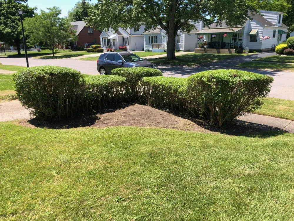 Custom lawn care service in Cheektowaga, NY - Complete Lawn & Yard Care