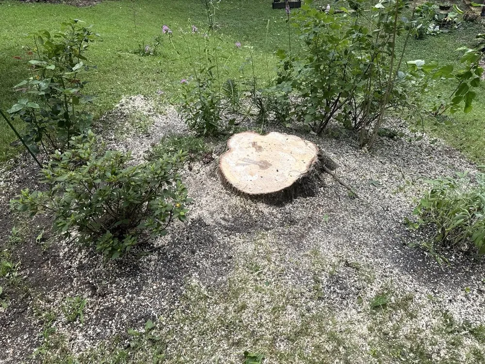 Professional landscape design in Chesapeake Beach, MD by Complete Lawn and Tree Service