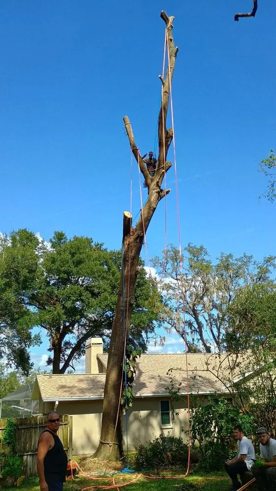 Local lawn mowing service for homes in Chesapeake Beach, MD by Complete Lawn and Tree Service