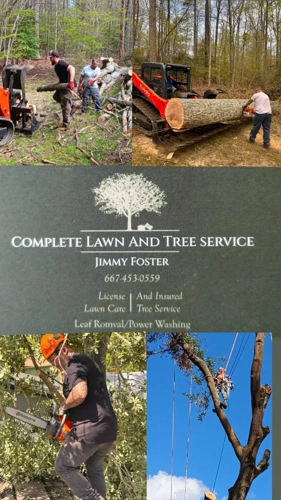 Local lawn care service in Chesapeake Beach, MD - Complete Lawn and Tree Service