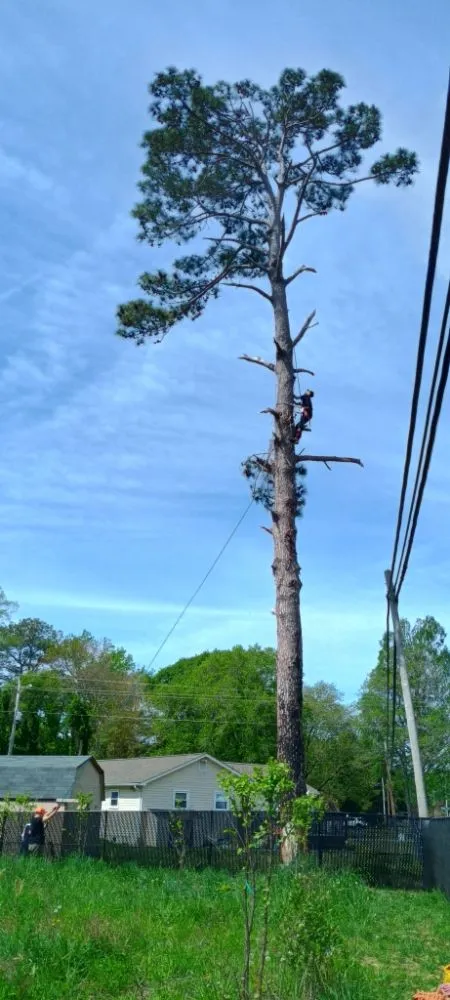 Reliable outdoor landscaping in Chesapeake Beach, MD - Complete Lawn and Tree Service