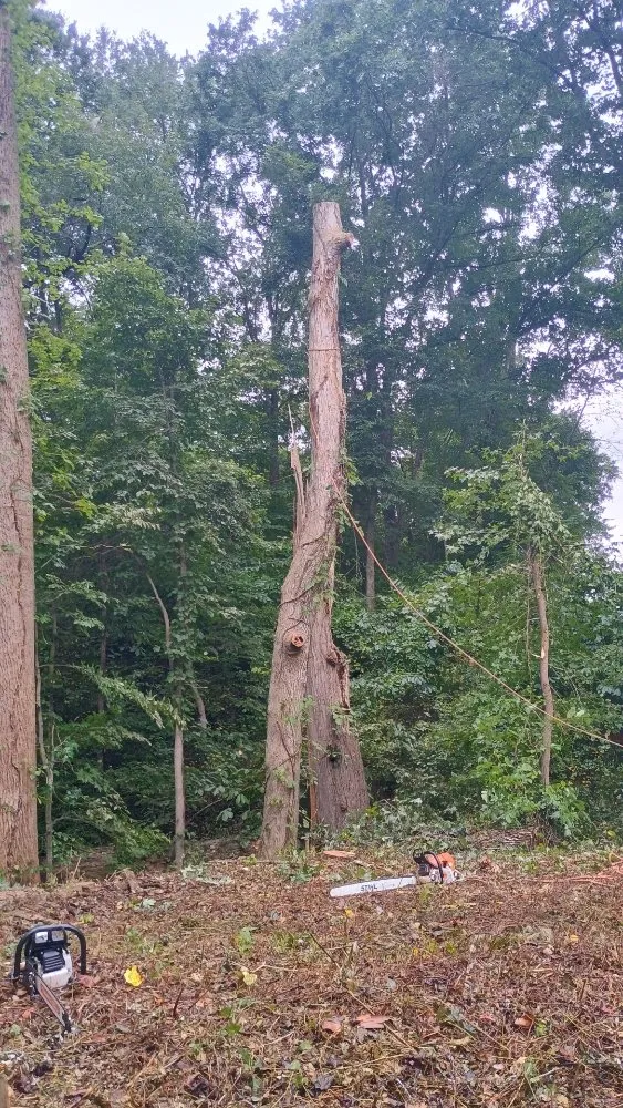 Reliable lawn care service in Chesapeake Beach, MD - Complete Lawn and Tree Service