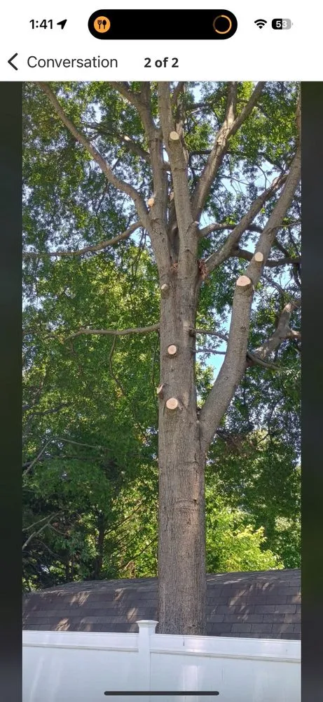 Affordable landscaping services experts serving Chesapeake Beach, MD - Complete Lawn and Tree Service