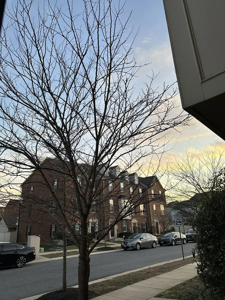 Affordable yard maintenance experts serving Chesapeake Beach, MD - Complete Lawn and Tree Service