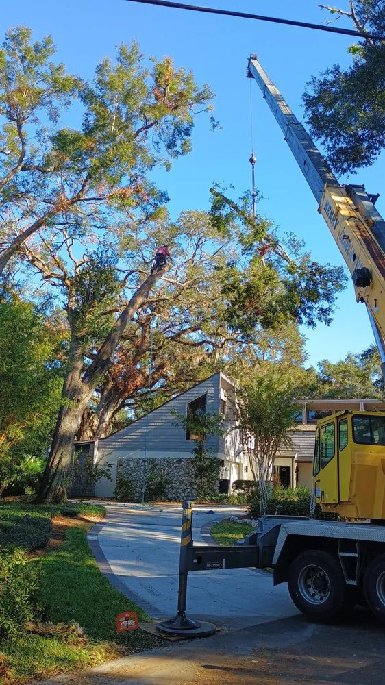 Reliable residential landscaping near you in Chesapeake Beach, MD by Complete Lawn and Tree Service