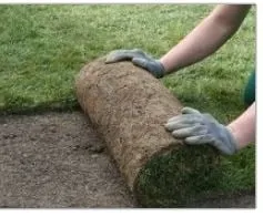 Affordable lawn care service in North Tonawanda, NY by Complete Lawn Care & Fence Inc