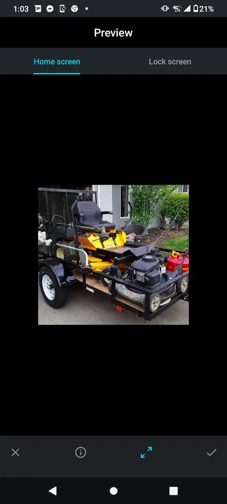 Local yard cleanup service in Columbia, MO by Complete Lawn Care