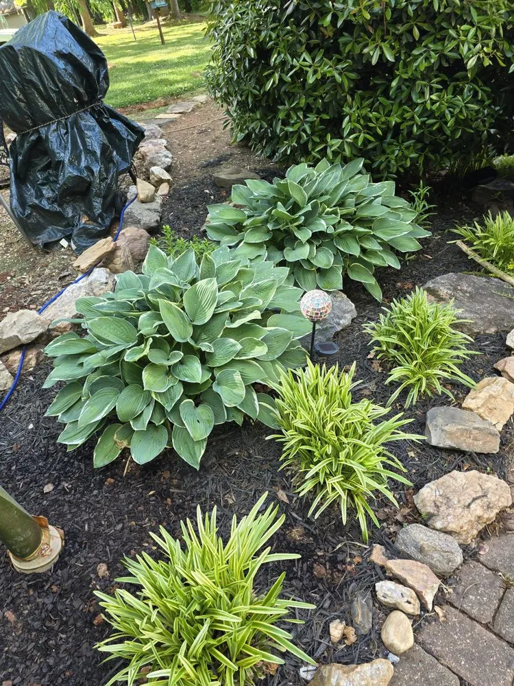 Local lawn mowing service for beautiful yards across Cornelia, GA - Complete Lawn Care