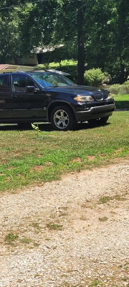 Professional yard cleanup service experts serving Cornelia, GA - Complete Lawn Care