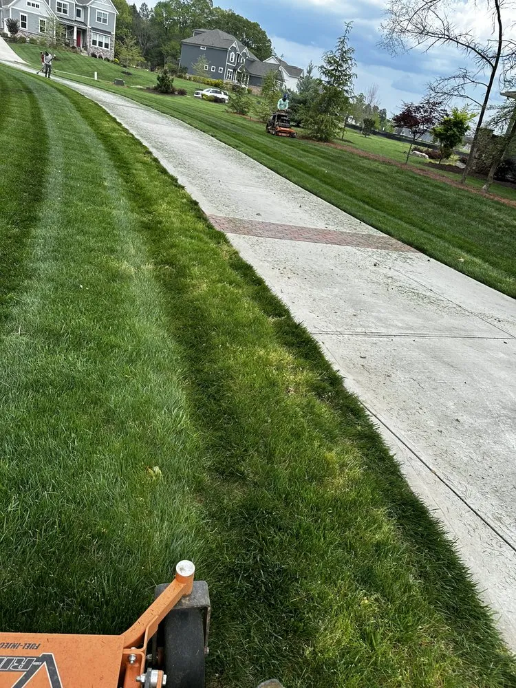 Top-rated yard cleanup service in Gastonia, NC - Complete Lawn Care