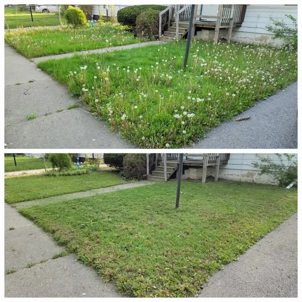 Top-rated yard maintenance with custom design across Flint, MI - Complete Lawn Care/ Landscaping